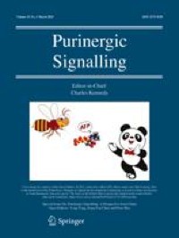 Pharmacological interaction and immune response of purinergic receptors in therapeutic modulation