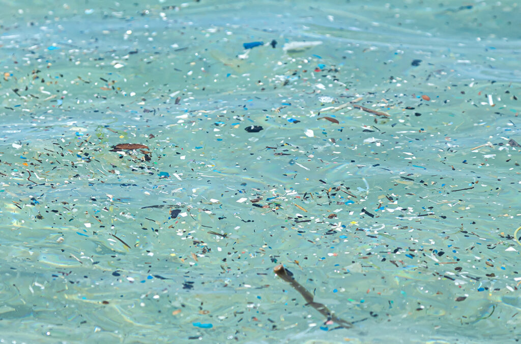 Marine bacteria take a bite at plastic pollution