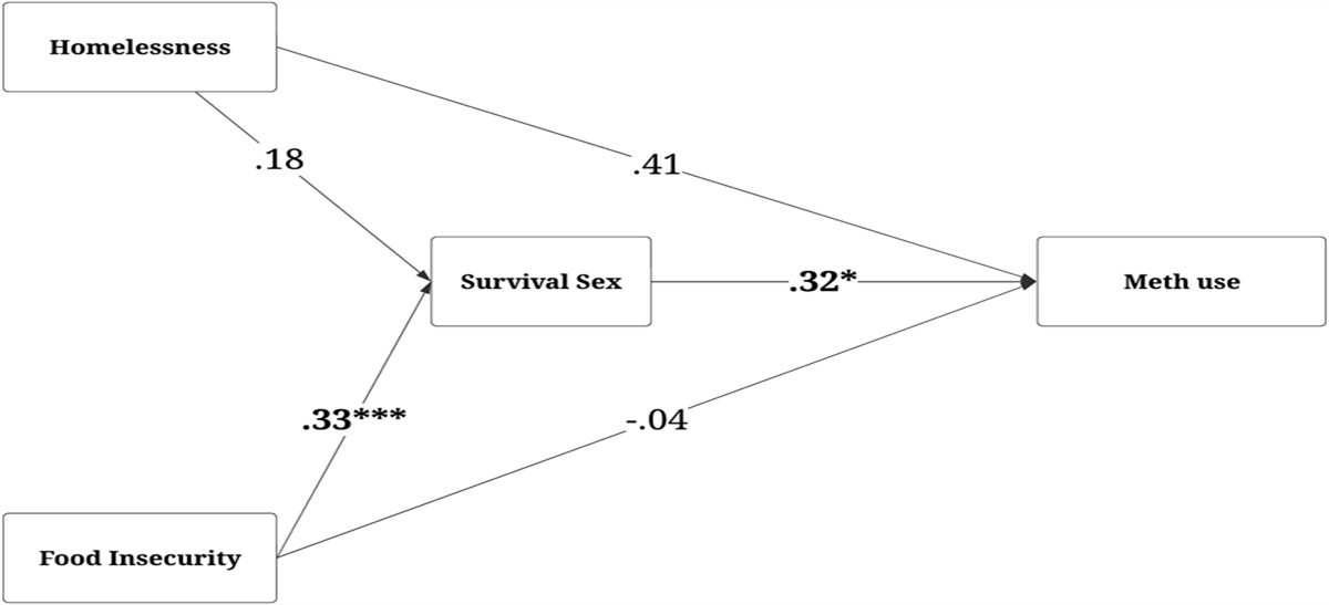 Exploring the Association Between Indicators of Socioeconomic Instability, Survival Sex, and Methamphetamine Use Among Young Adult Black Gay, Bisexual, and Other Men Who Have Sex With Men: A Cross-Sectional Study