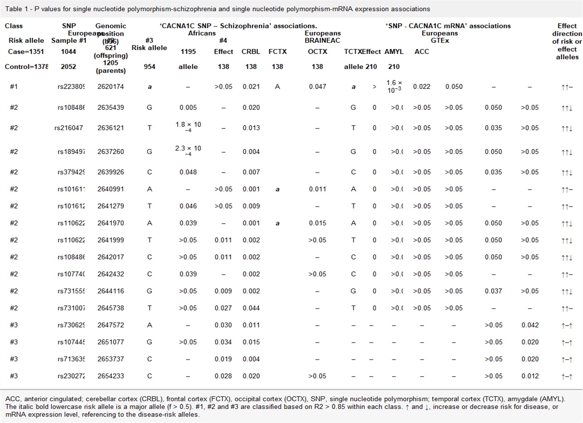 A novel risk variant block across introns 36–45 of CACNA1C for schizophrenia: a cohort-wise replication and cerebral region-wide validation study