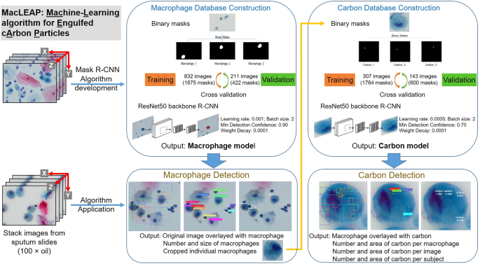 Application of artificial intelligence in quantifying lung deposition dose of black carbon in people with exposure to ambient combustion particles