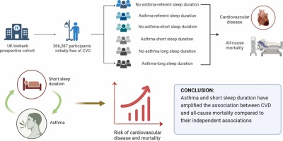 Joint associations of asthma and sleep duration with cardiovascular disease and all-cause mortality: A prospective cohort study