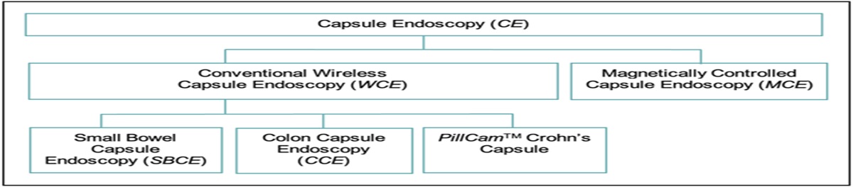 Deep Learning and Minimally Invasive Endoscopy: Automatic Classification of Pleomorphic Gastric Lesions in Capsule Endoscopy