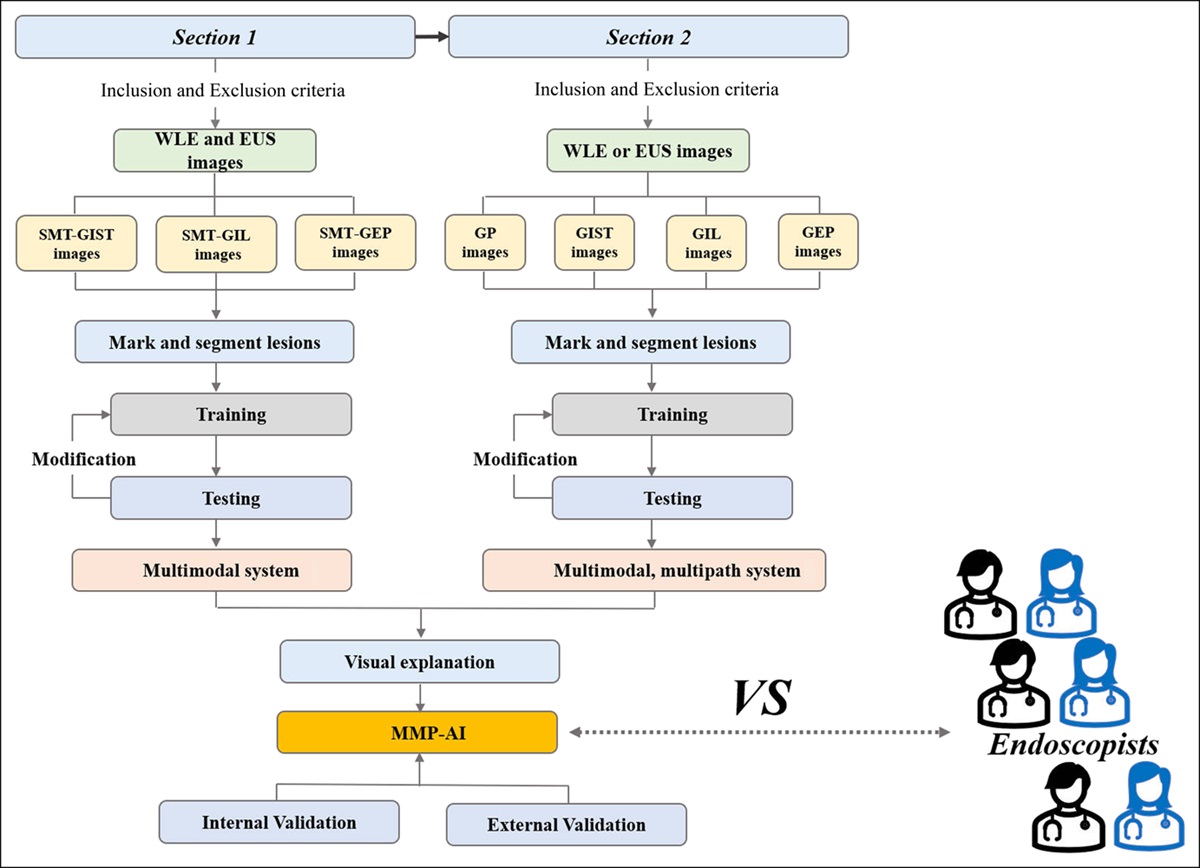 A Multimodal Multipath Artificial Intelligence System for Diagnosing Gastric Protruded Lesions on Endoscopy and Endoscopic Ultrasonography Images