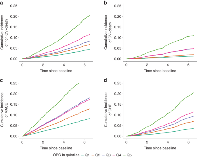 Association of mineral and bone biomarkers with adverse cardiovascular outcomes and mortality in the German Chronic Kidney Disease (GCKD) cohort