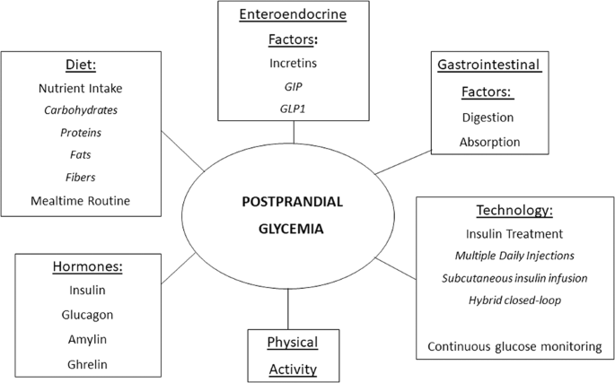 Postprandial glucose metabolism in children and adolescents with type 1 diabetes mellitus: potential targets for improvement