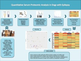Quantitative serum proteome analysis using tandem mass tags in dogs with epilepsy