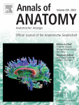 The influence of collaborative learning and self-organization on medical students’ academic performance in anatomy