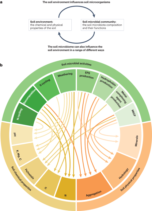 The interplay between microbial communities and soil properties