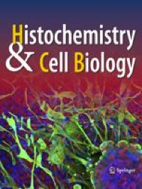 A note to our authors: Histochemistry and Cell Biology implements guidelines for the use of large language models (including ChatGPT)
