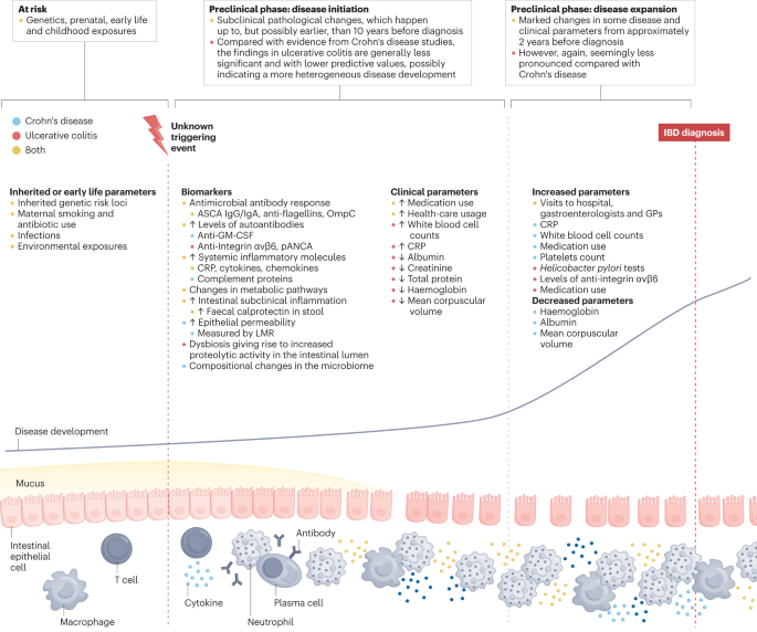 Deciphering the different phases of preclinical inflammatory bowel disease
