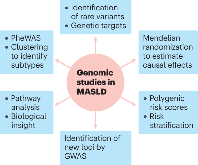 Implications of the evolving knowledge of the genetic architecture of MASLD
