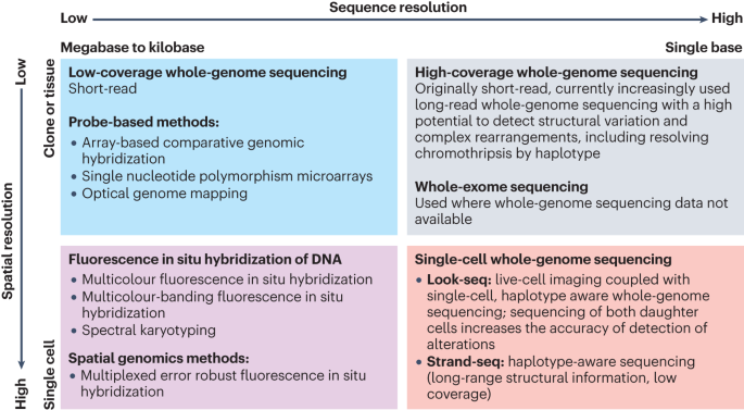 Scrambling the genome in cancer: causes and consequences of complex chromosome rearrangements
