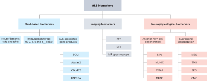 Biomarkers in amyotrophic lateral sclerosis: current status and future prospects