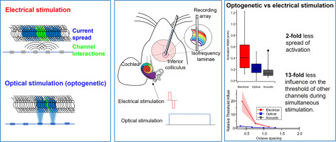 Spread of activation and interaction between channels with multi-channel optogenetic stimulation in the mouse cochlea
