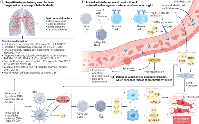 Systemic sclerosis interstitial lung disease: unmet needs and potential solutions