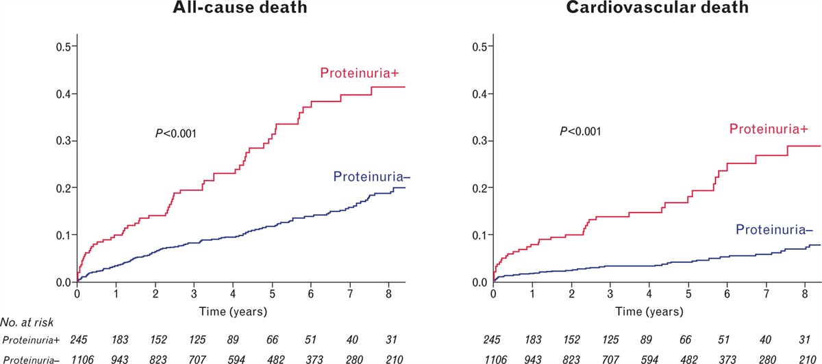 Impact of proteinuria on long-term prognosis in patients with coronary artery disease