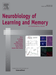 The Emergence of Task-Relevant Representations in a Nonlinear Decision-Making Task