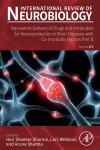 How dendritic spines shape is determined by MMP-9 activity in FXS