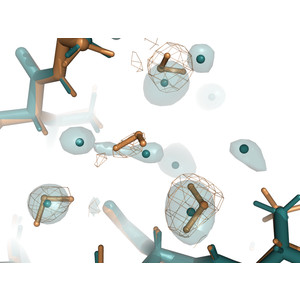 Improved joint X-ray and neutron refinement procedure in Phenix