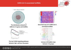 Unraveling SARS-CoV-2-associated lncRNAs' prognostic significance in lung adenocarcinoma-survival, immunity, and chemotherapy responses