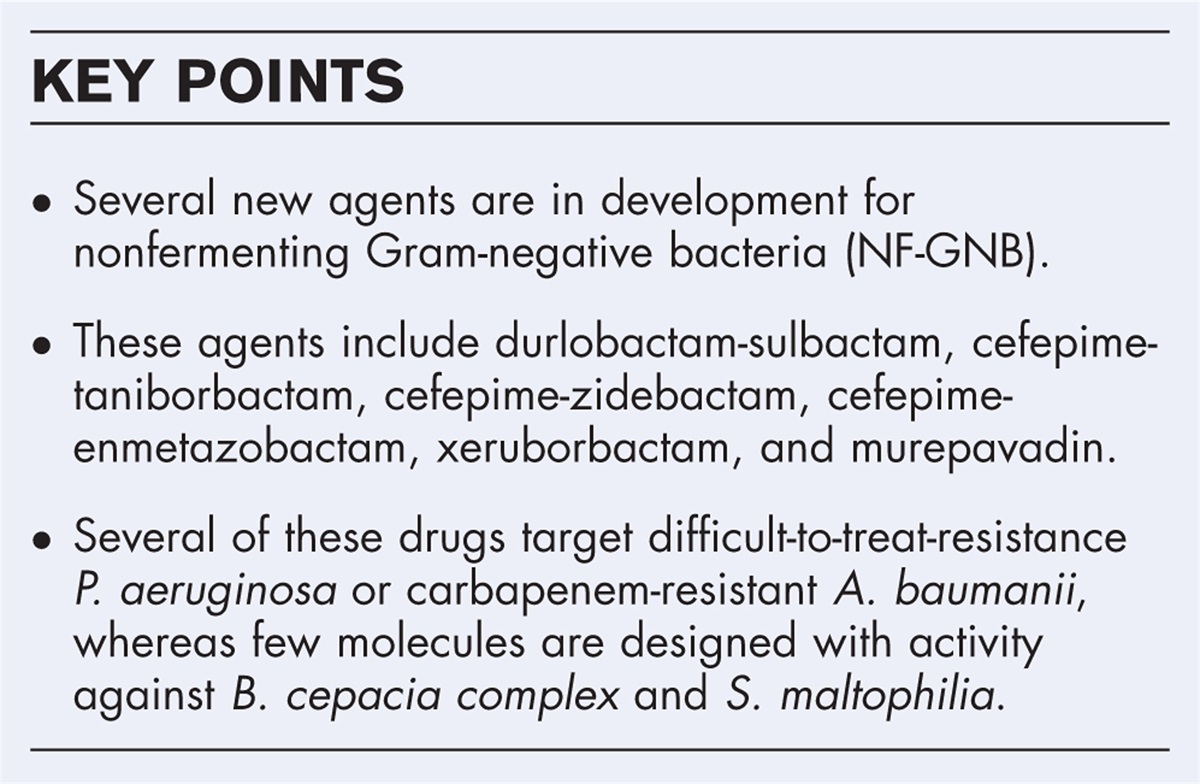 Antibiotic therapy for nonfermenting Gram-negative bacilli infections: future perspectives