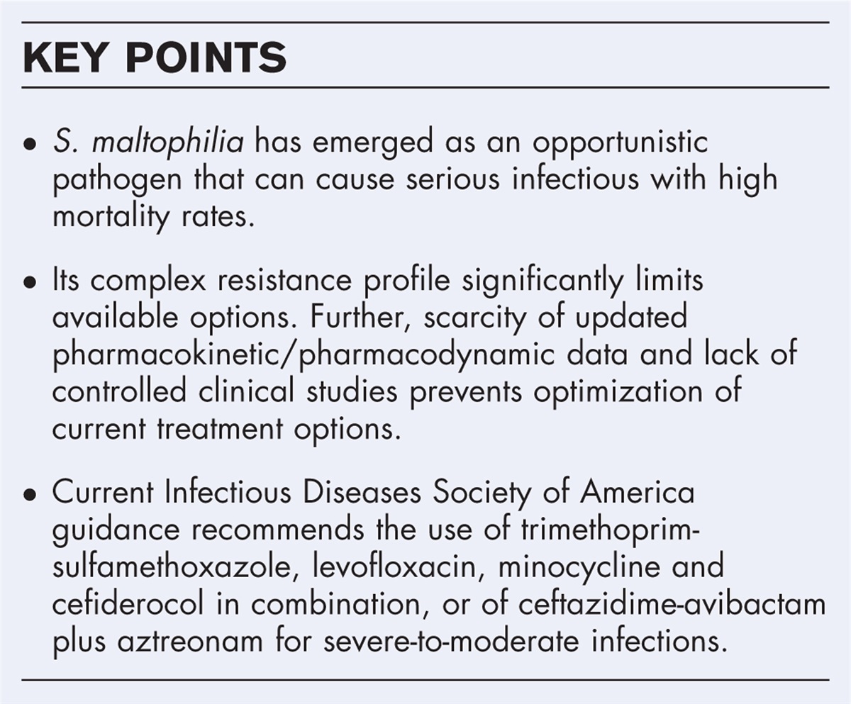 Treatment approaches for severe Stenotrophomonas maltophilia infections