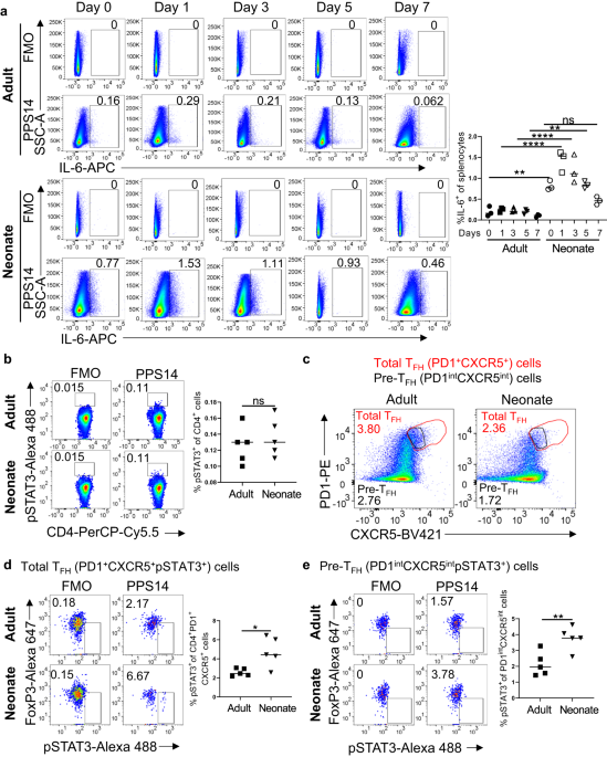 IL6 suppresses vaccine responses in neonates by enhancing IL2 activity on T follicular helper cells