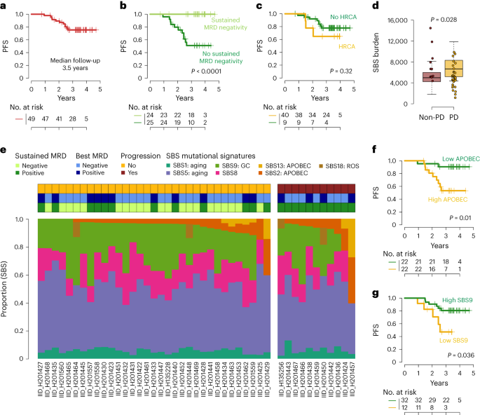 Genomic and immune signatures predict clinical outcome in newly diagnosed multiple myeloma treated with immunotherapy regimens
