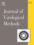 Approaches to produce and characterize recombinant protein VP1-2A of HAV for serological rapid test application