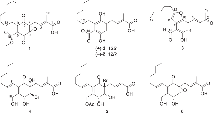 Bioactive ambuic acid congeners from endophytic fungus Pestalotiopsis trachicarpicola SC-J551