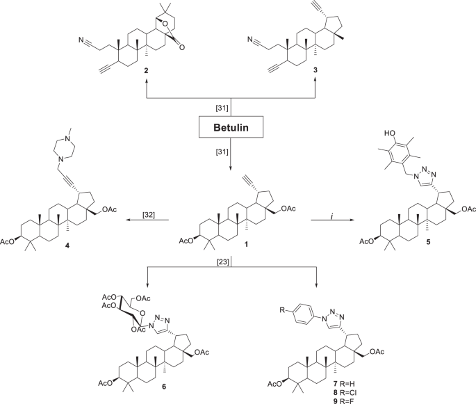 Antiviral potency of lupane and oleanane alkynyl-derivatives against human cytomegalovirus and papillomavirus