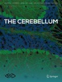 The Neuroimmune System and the Cerebellum