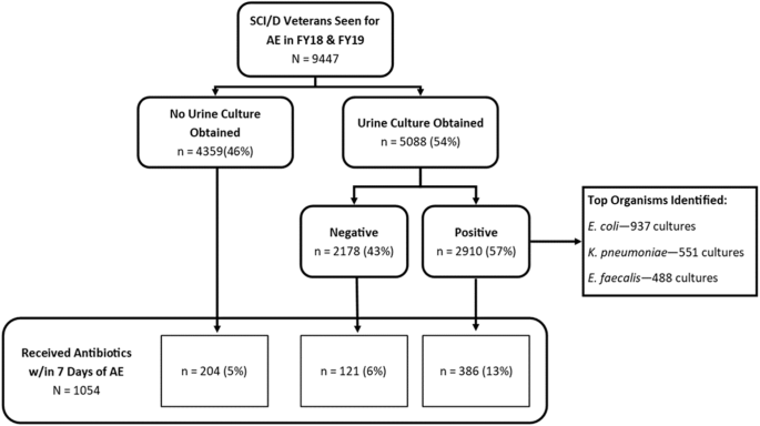 Impact of routine urine cultures on antibiotic usage in those undergoing a routine annual spinal cord injury evaluation