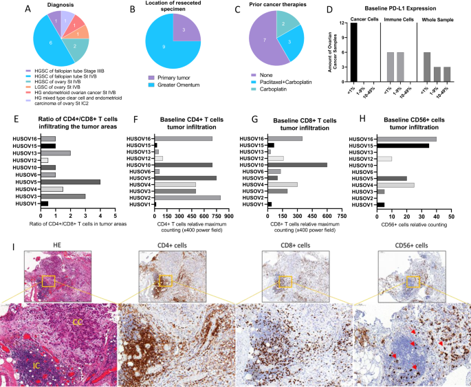 Boosting cytotoxicity of adoptive allogeneic NK cell therapy with an oncolytic adenovirus encoding a human vIL-2 cytokine for the treatment of human ovarian cancer