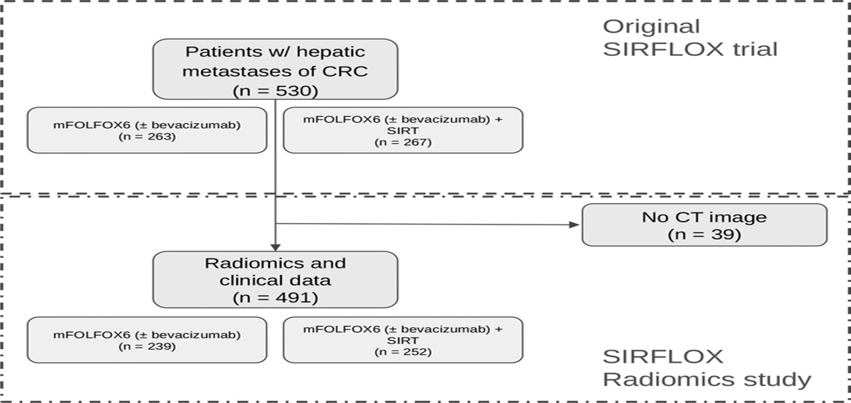 A Comprehensive Machine Learning Benchmark Study for Radiomics-Based Survival Analysis of CT Imaging Data in Patients With Hepatic Metastases of CRC