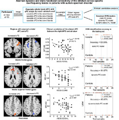 Aberrant dynamic and static functional connectivity of the striatum across specific low-frequency bands in patients with autism spectrum disorder