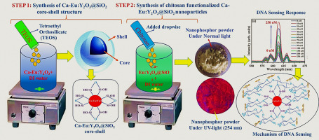 A Eu3+doped functional core-shell nanophosphor as fluorescent biosensor for highly selective and sensitive detection of dsDNA
