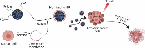 Biomimetic theranostic nanoparticles for effective anticancer therapy and MRI imaging