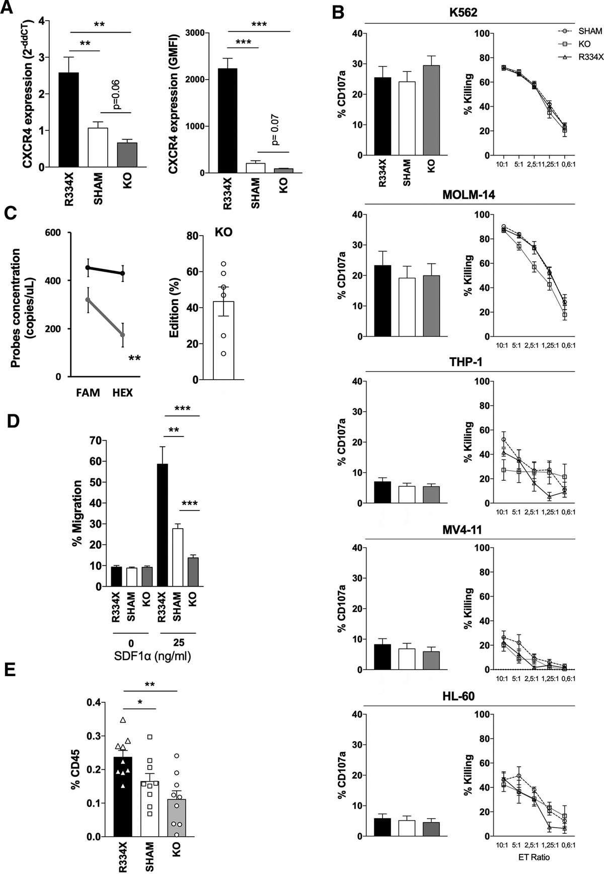 Improved Leukemia Clearance After Adoptive Transfer of NK Cells Expressing the Bone Marrow Homing Receptor CXCR4R334X