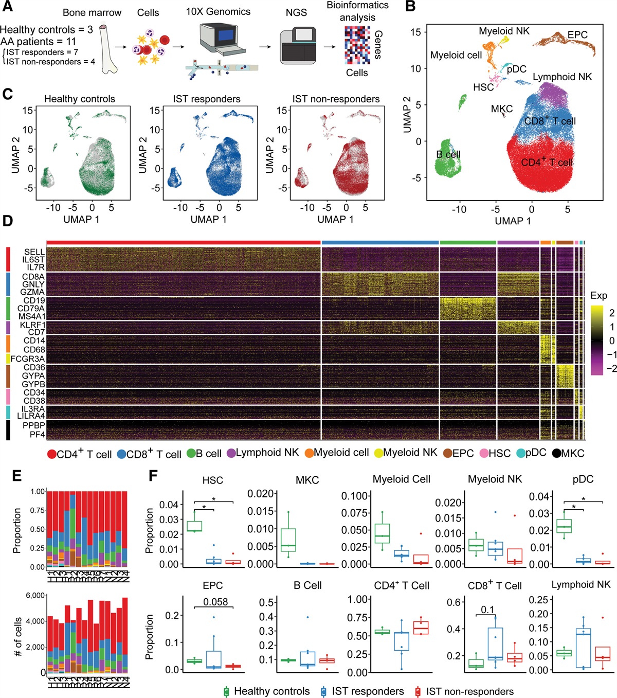 Single-cell RNA Sequencing Reveals Novel Cellular Factors for Response to Immunosuppressive Therapy in Aplastic Anemia