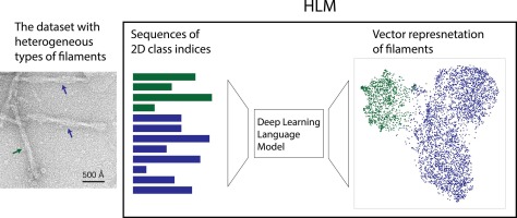 Classification of helical polymers with deep-learning language models