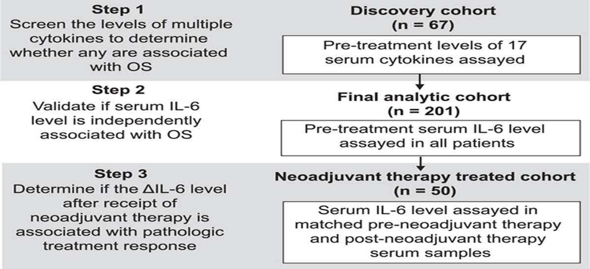 Serum Interleukin 6 Level is Associated With Overall Survival and Treatment Response in Gastric and Gastroesophageal Junction Cancer