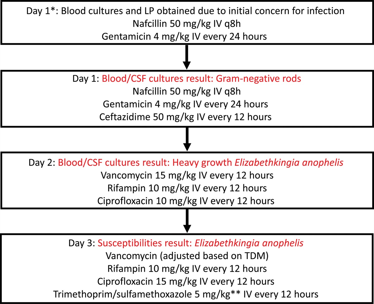 Successful Eradication of a Highly Resistant Elizabethkingia anophelis Species in a Premature Neonate With Bacteremia and Meningitis