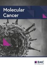 CircHERC1 promotes non-small cell lung cancer cell progression by sequestering FOXO1 in the cytoplasm and regulating the miR-142-3p-HMGB1 axis