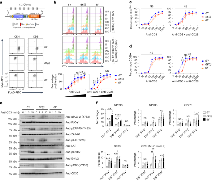 CD3ζ ITAMs enable ligand discrimination and antagonism by inhibiting TCR signaling in response to low-affinity peptides