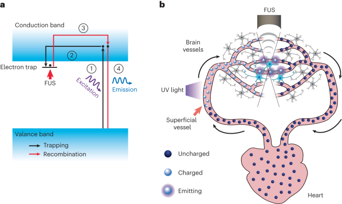 Activation of mechanoluminescent nanotransducers by focused ultrasound enables light delivery to deep-seated tissue in vivo