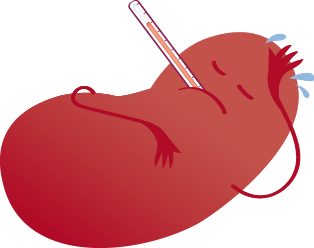 Taking kidney temperatures to detect rejection