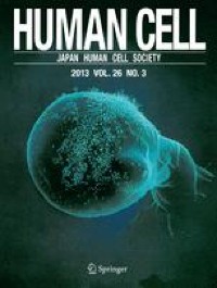 Human dental pulp stem cells have comparable abilities to umbilical cord mesenchymal stem/stromal cells in regulating inflammation and ameliorating hepatic fibrosis