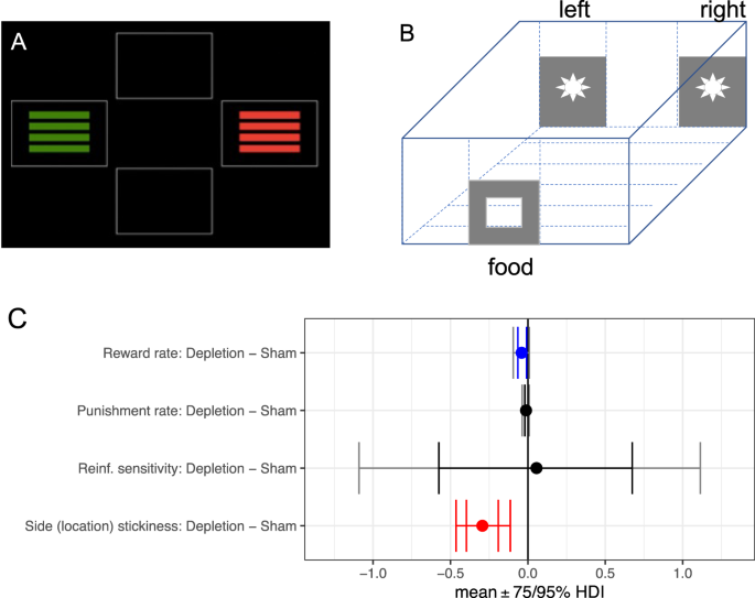 Comparable roles for serotonin in rats and humans for computations underlying flexible decision-making
